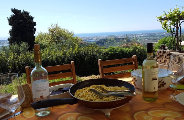 House with sea views on the hill of the north Tuscany Riviera (Versilia)