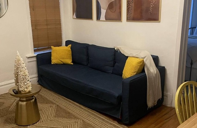 Huge 2 bedroom apartment next Prospect Park/Barclays center