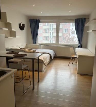 Hyppolite Metdepenningenstraat