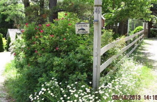 Idyllic Cottage in Leafy Glen Near the Ocean