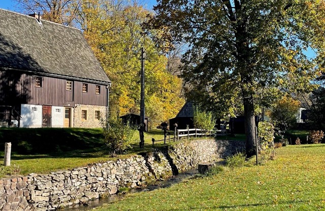 Idyllic torrent in the heart of the Ore Mountains