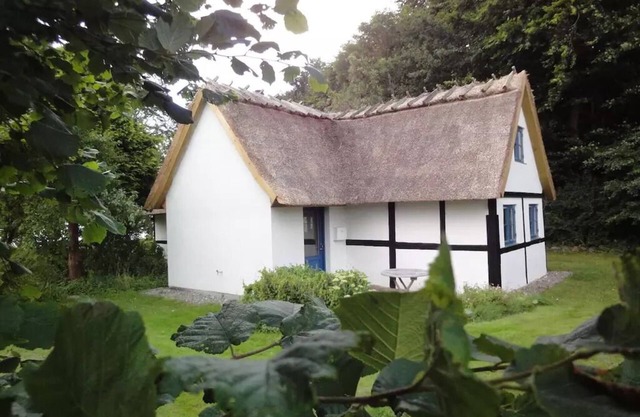 Idyllic location directly to the forest and Baltic Sea and with its own beach