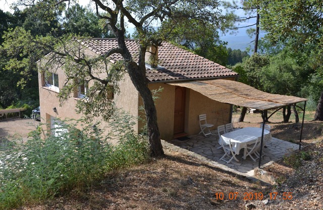 INDIVIDUAL HOUSE IN PEACE AND IN THE FOREST
