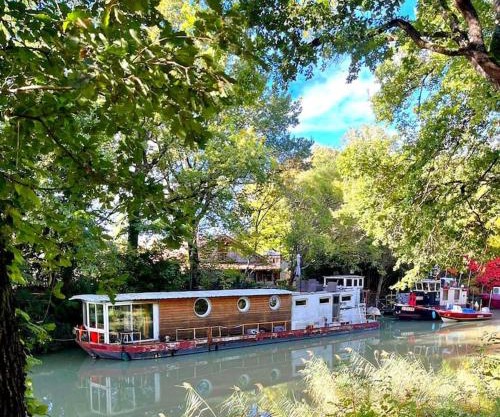 Insolite Péniche Amazonie canal du midi