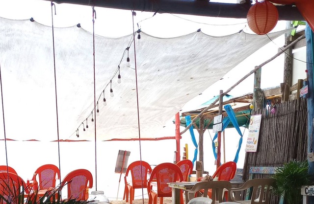 Isla Barú on the shores of the Caribbean Sea, couples, families and friends