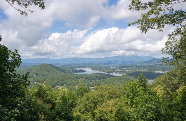 Ivy Mountain Top