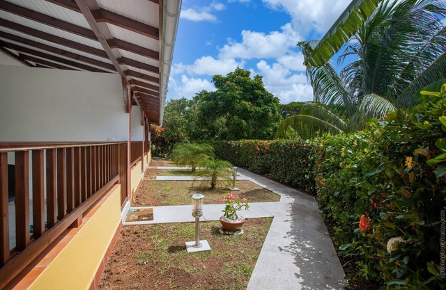 Ixora at the Refuge de Madiana in Schoelcher