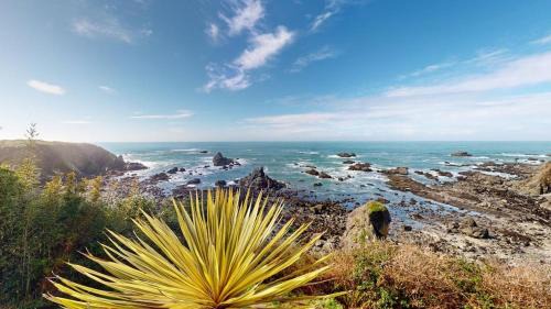 Jaw-Dropping Ocean View Luxurious Cliff Home with Hot Tub