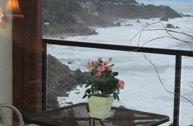 JAW-DROPPING VIEW,trails,family, free day,fireplace,private beach,gated & clean