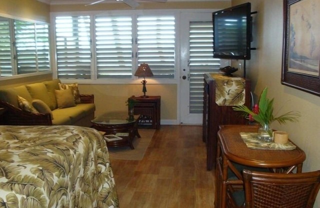 June & July 15% discount Oceanfront with Spectacular View #101 Napili Bay, Maui