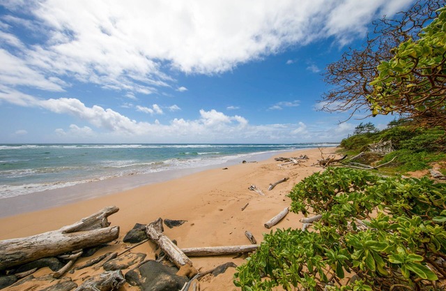 Kauai Kaha Lani by Coldwell Banker Island Vacations