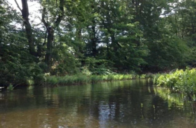 Kayak and Campers Paradise