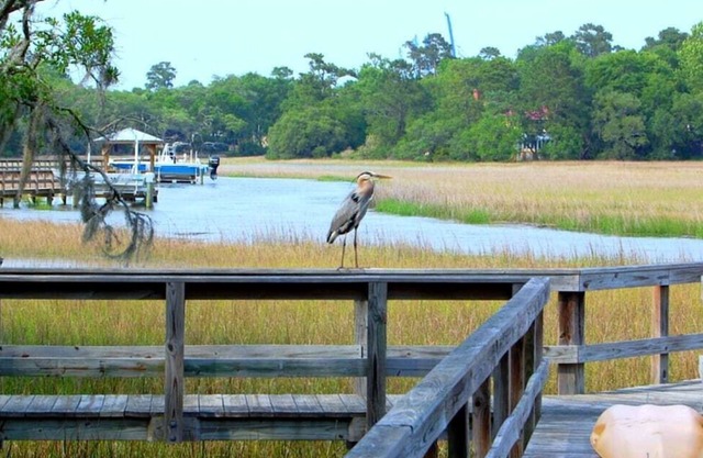 Kayaks-3rooms/2bath | Waterfront-DeepWater Dock | Spacious Private Attached Unit