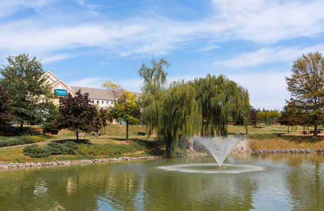 King Studio Near IAD | Free Breakfast + Shuttle to Airport + Corporate Area