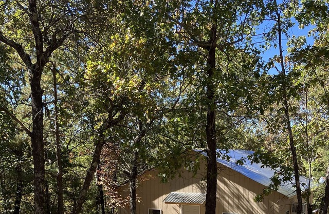 krissy cabins