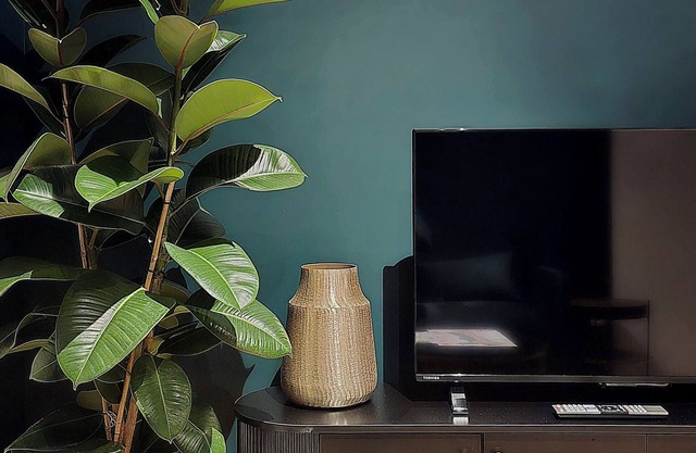 L'Atelier de L'Émeraude/The Emerald Workshop