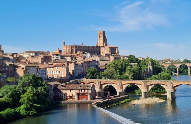 La Coquette Albigeoise - Albi center - Renovated town house - Wifi - Garden