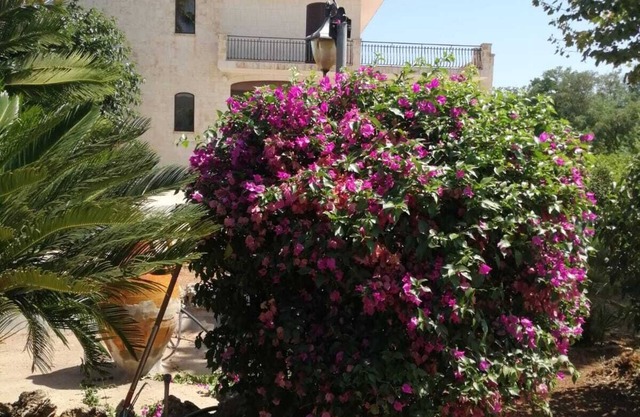 La Mery Giò House