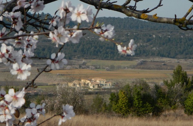 La petite Auberge - "Chambre de Violette" 1 - 2 people in a haven of peace