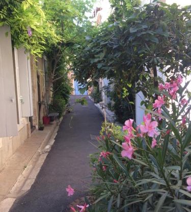 La petite Glycine