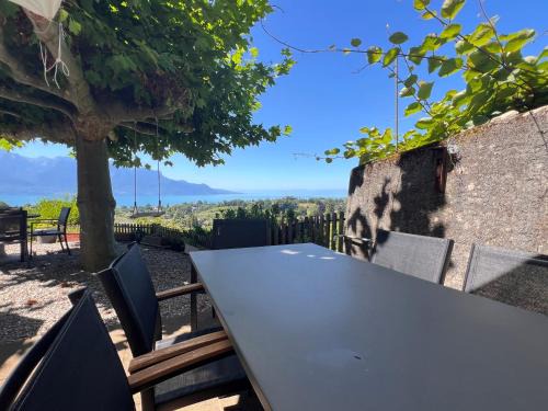 La Vigneronne, Chailly-Montreux