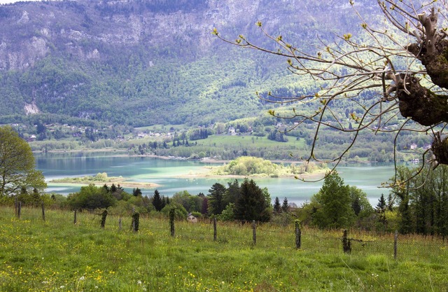 Lac Aiguebelette Soukavati 2 Pers vue Calme Breathtaking View Aiguebelette