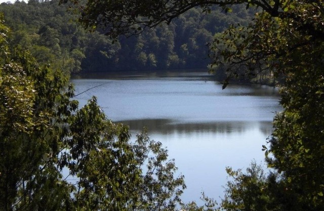 Lake Cabin on the Bluff