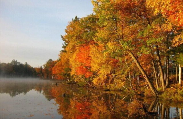 Lake Forest Resort – Relax on a Pristine Sandy Beach in the Northwoods!