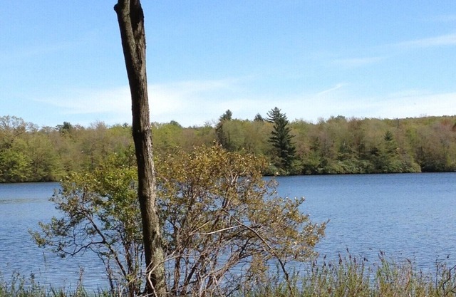 Lake front/pool/boating & Big Boulder Ski Resort located in gated community