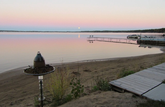 Lake Missaukee Cottage in Lake City waiting for your family!