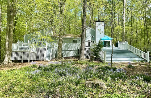 Lake Overlook Retreat - 5 acre nature preserve near the Eno River, UNC & Duke