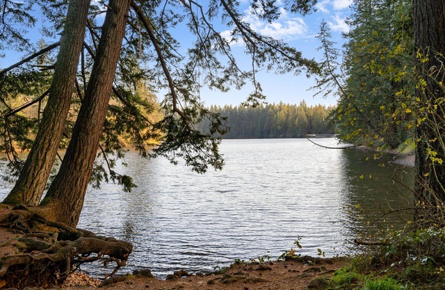 Lake View House with Beautiful 4.5 Acres to Explore