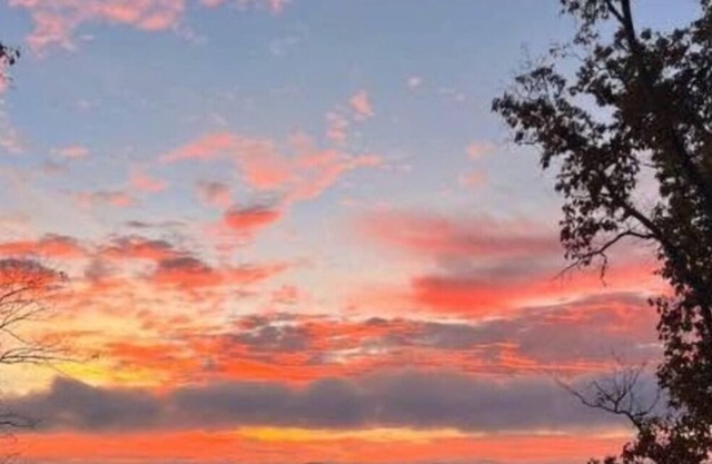 Lakefront 2BR 2BA cabin,Guntersville Lake iScottsboro, AL with spectacular views