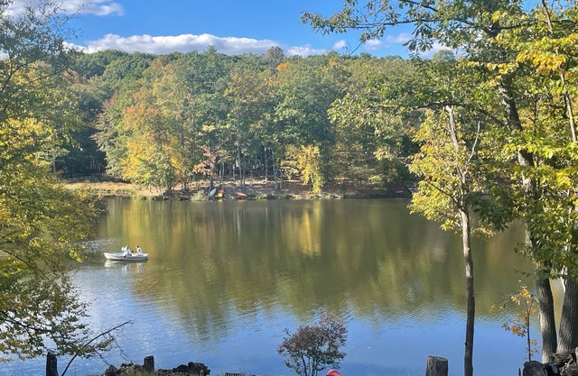 Lakefront has a hot tub, sauna, fireplace, ping-pong table, pool, and kayaks.