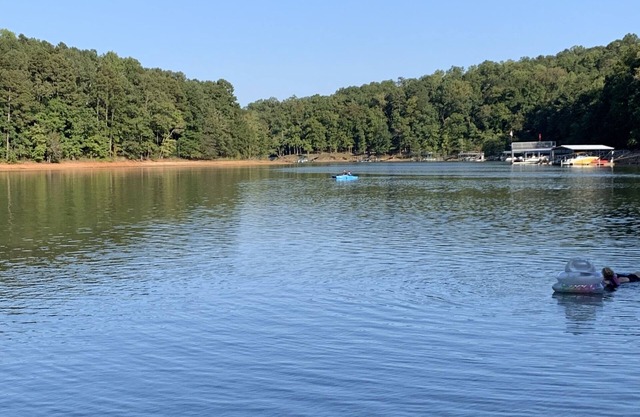 Lakehouse on Hartwell. Peace & quiet. Fish, grill, kayaks & more.