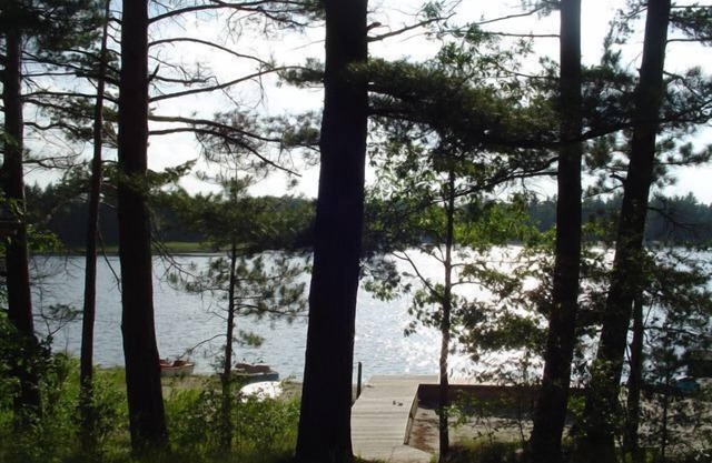 Lakeside Log Home, fireplace, snowmobile trails, parking, skiing, dog-friendlyn