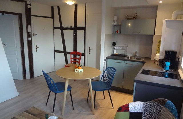 "LANDBeautiful beamed apartment in the historic center of Colmar's "Little Venice".