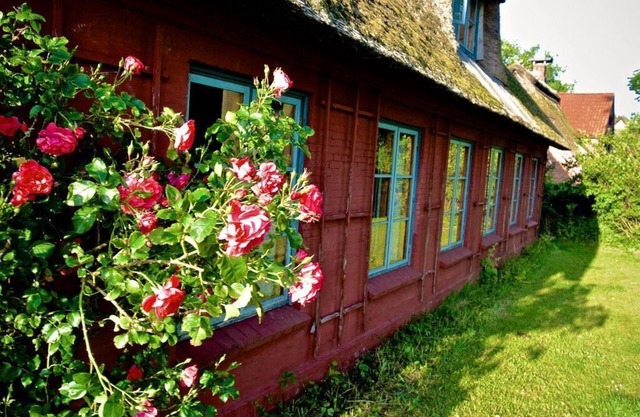 Landwohnung in Nieby 300m von der Ostsee Entfernt!