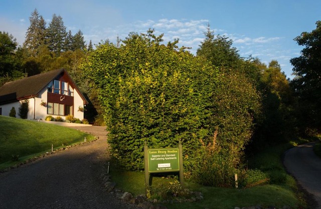 Lann Dearg Studios