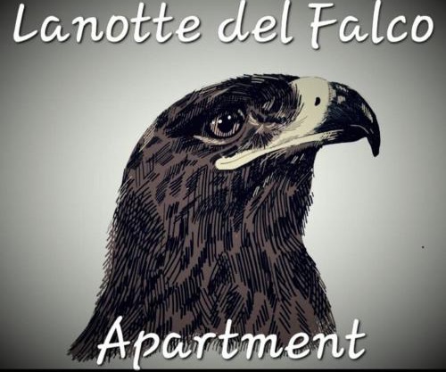 Lanotte del Falco