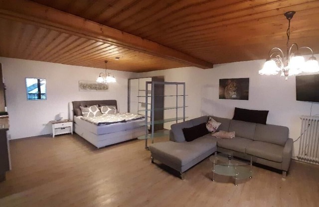 Large 1-room apartment with west-facing balcony and WiFi
