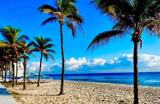Large 1br on water las olas/beach /free kayaks .