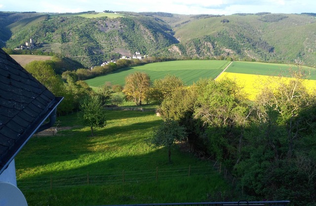 Large apartment with dream view and terrace for 9 P at Rheinhöhe