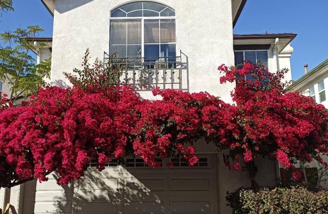 Large Clean Home in Safe Gated Community