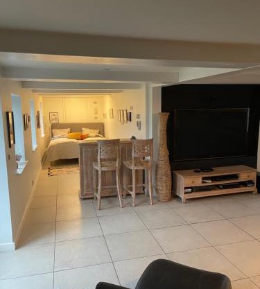 Large cozy living room with bedroom, bathroom