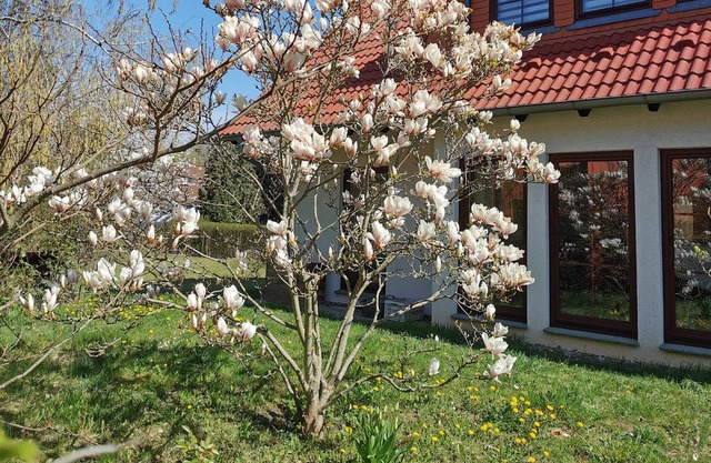 Large house with 5 bedrooms, large garden, S-Bahn connection to Berlin