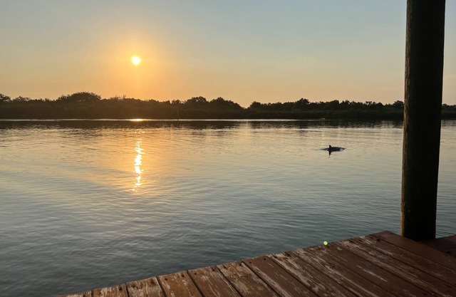Large, Spacious home on The Intracoastal, Watch Dolphins play and Fish