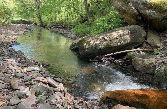 Late checkout! modern cottage with creek on 4 acres, fire pit