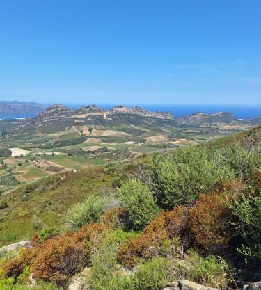 Le Clos Osteria