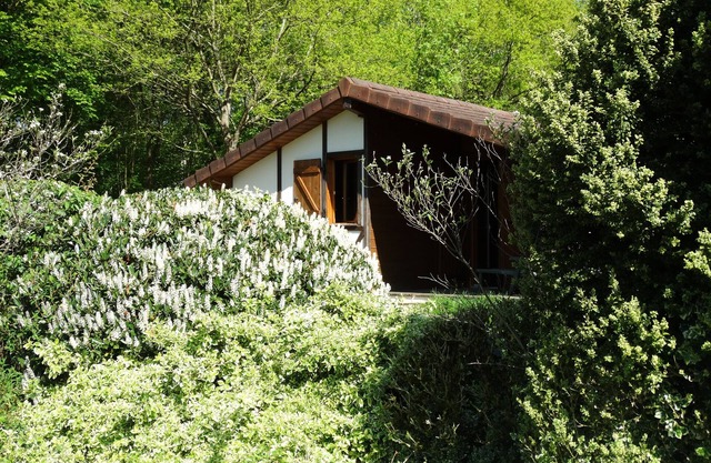 LE FAY: Chalet (Colvert) on the edge of a pond surrounded by nature